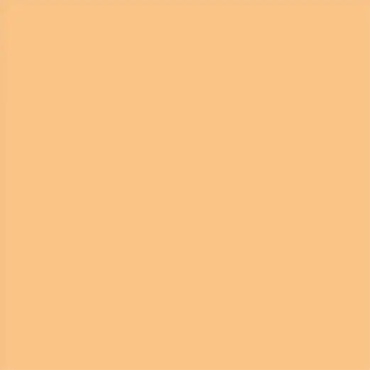 Lee Roll #204 Full Orange CTO