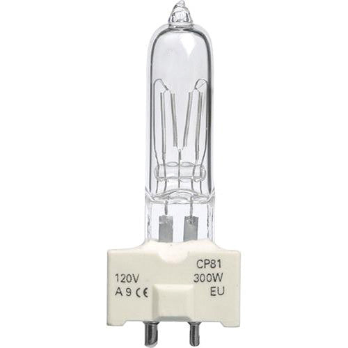FKW Lamp 300w