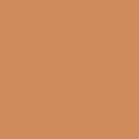 Lee Gel Sheet#207 .3 Neutral Density CTO
