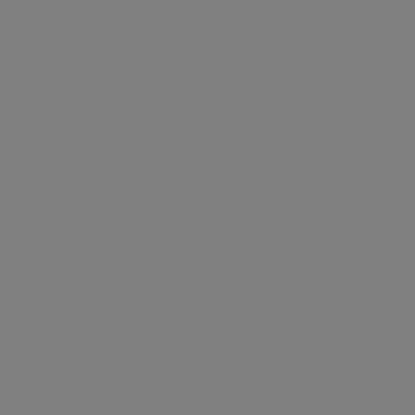 Lee Gel Sheet#225 Neutral Density Frost