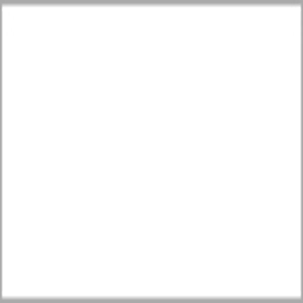 Lee Gel Sheet#251 1/4 White Diffusion