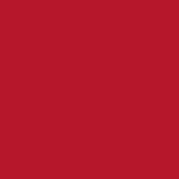 Rosco Gel Sheet #42 Deep Salmon