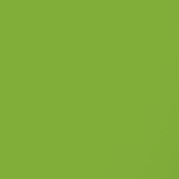 Rosco Gel Sheet #86 Pea Green