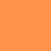 Rosco Gel Sheet #17 Lt Flame