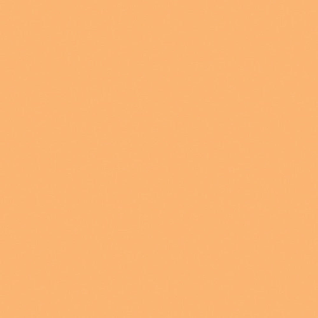 Lee Gel Sheet#204 Full Orange CTO