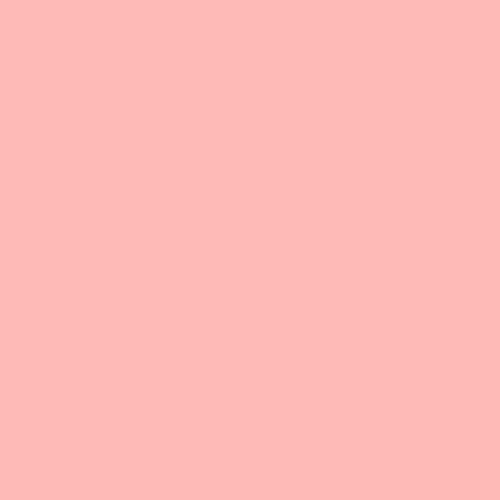 Rosco Gel Sheet #331 Shell Pink